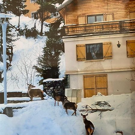 Chalet Familial Auron Bagian luar foto