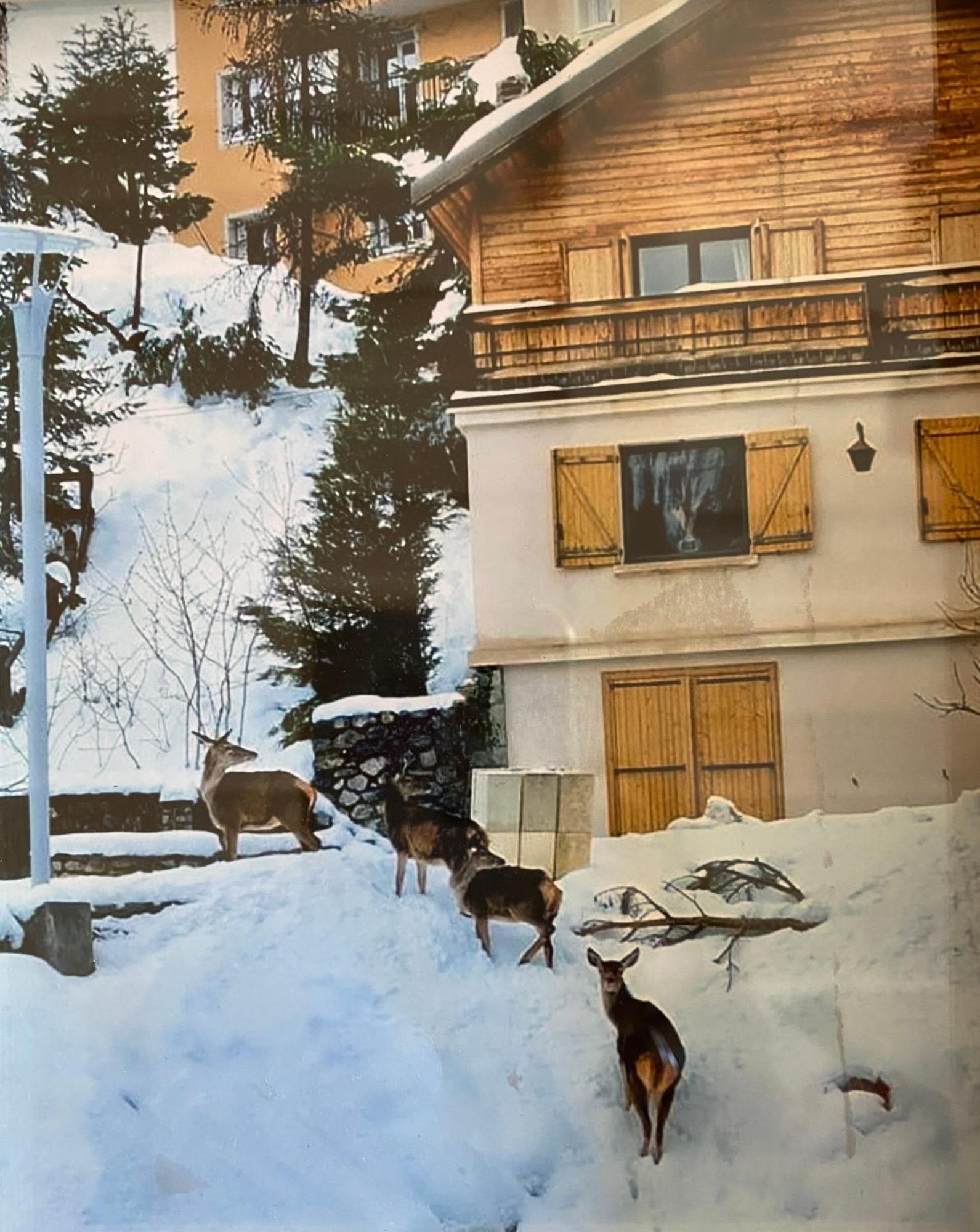Chalet Familial Auron Bagian luar foto
